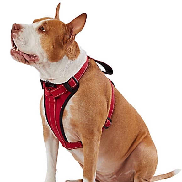 🆕 KONG® MAX Neoprene Padded Dog Harness - Picture 2 of 5